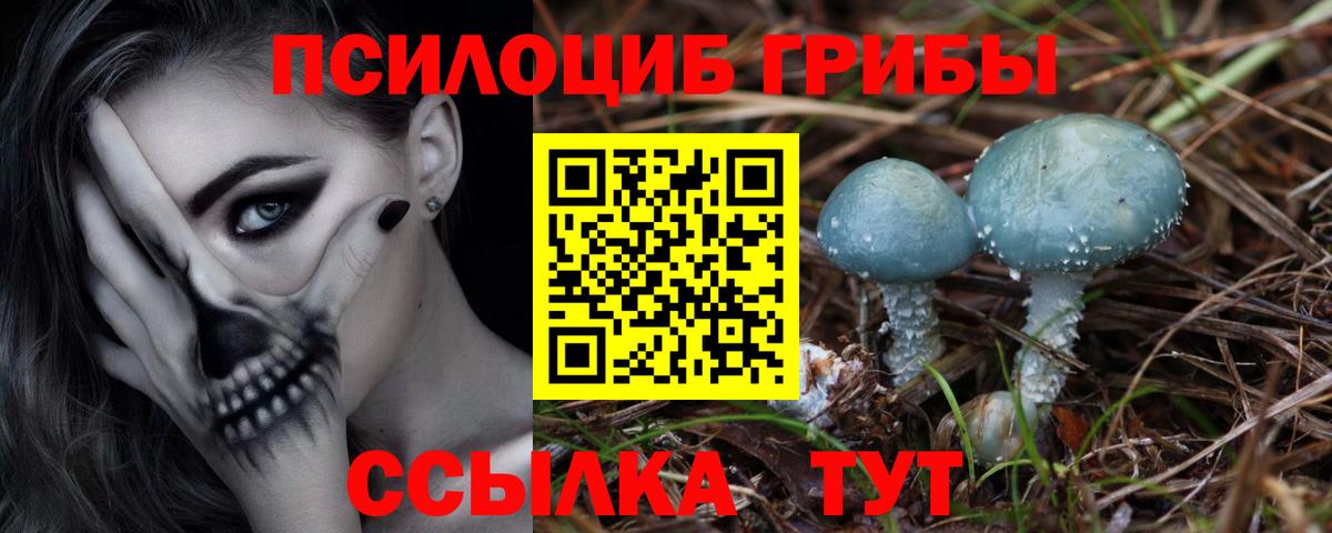 Псилоцибиновые грибы MAGIC MUSHROOMS  Вход с VPN  Усинск  Псилоцибиновые грибы Psilocybe 